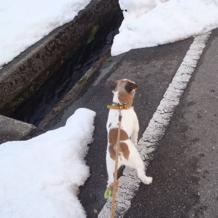 Bf6d27de 1e24 4676 b7fe f1d61e7b1d5b 1519196658418