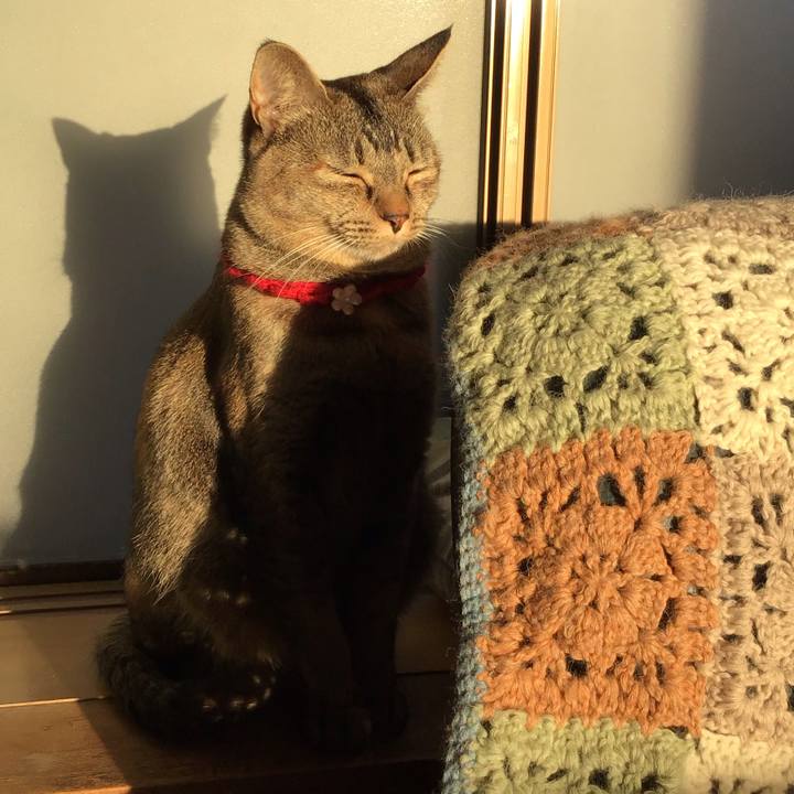 Bf6d6f28 a464 4851 87f8 898ccc433e0d 1613378866068