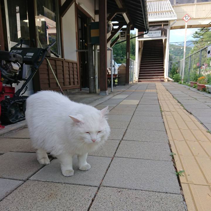 Bf6d8926 db97 4014 ba6f 48de4ad91c7e 1560810505248