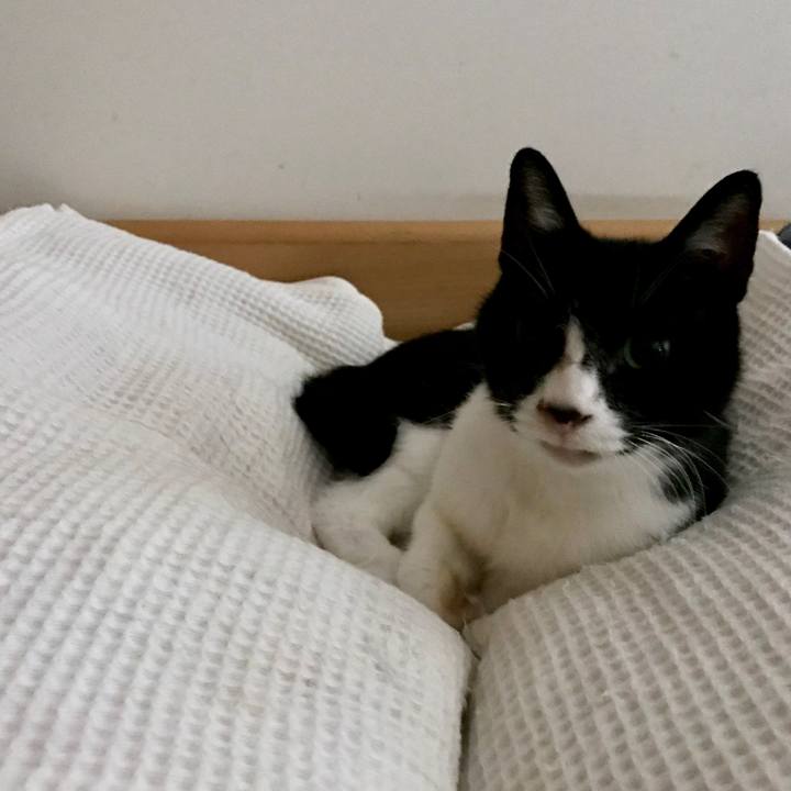 Bf6d9c2a 8a05 438a 909b d7d5428eaee8 1566091581020