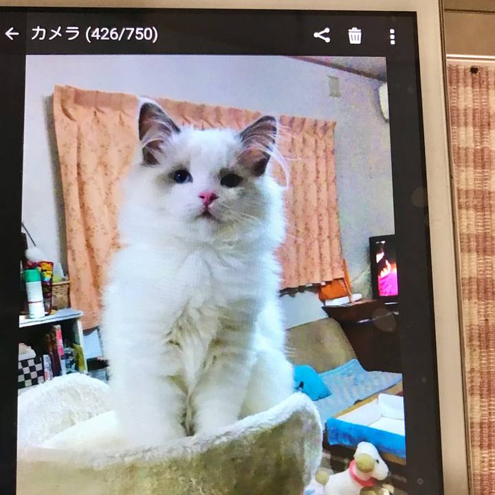 Bf6da297 3392 4f72 829a 05a516e8ca6e 1612431470040