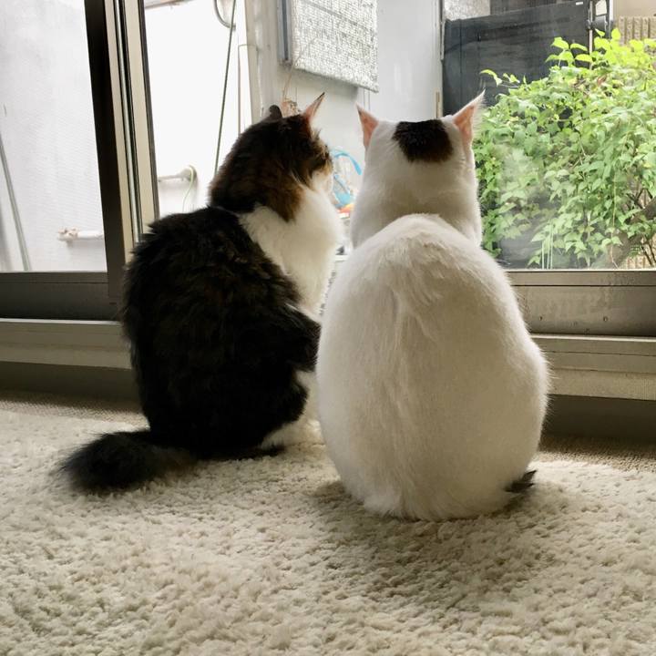 Bf6db4f1 30d2 4513 b316 8718a7412309 1511139066846