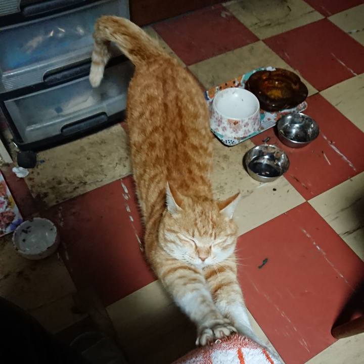 Bf6dbe58 9e14 453b a5e9 90138cec1be0 1584129302262