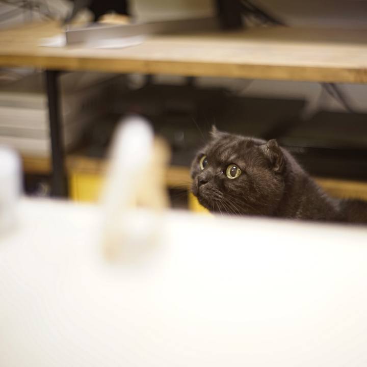 Bf6dbf35 a83e 4a1c 8366 dbbd521ccfbe 1619367789980