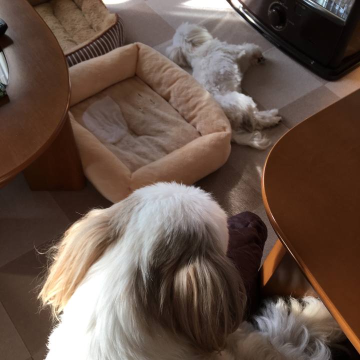 Bf6dc3f0 69ab 49c3 a280 b0c706b2cd06 1545609713106