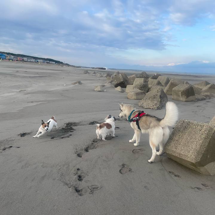 Bf6dd8e9 723d 4a14 b4ca 2cc7bcf12358 1699746482715