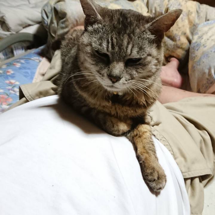 Bf6dfd1a 2e5d 4079 bb45 cf1ebff818f0 1563280947074