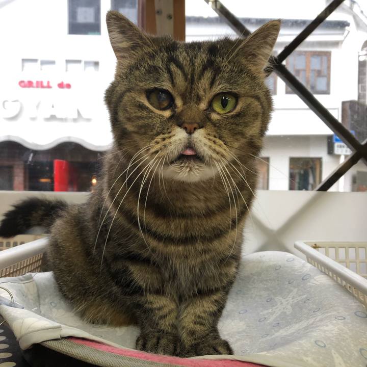 Bf6e05af 178a 4d5a a2a0 59f6d80829b6 1564795834331