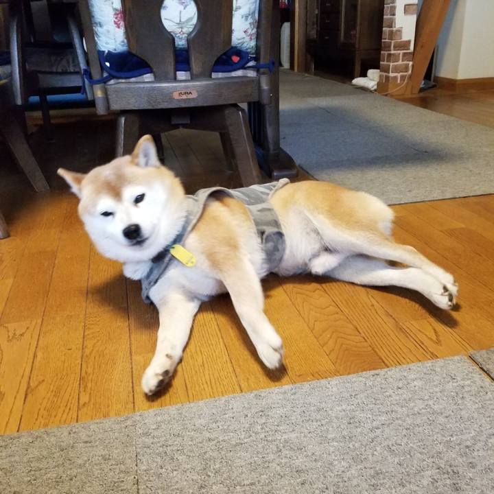 Bf6e0759 af47 4caf a111 488c5a2654c7 1645052853998