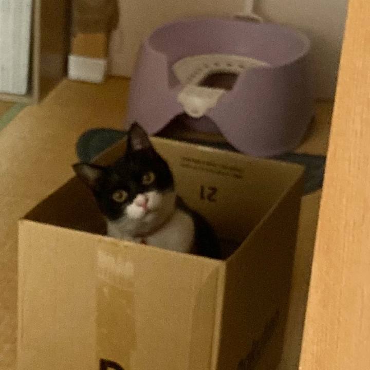 Bf6e1933 a519 4b50 849f bebbc7a2703e 1626001801099