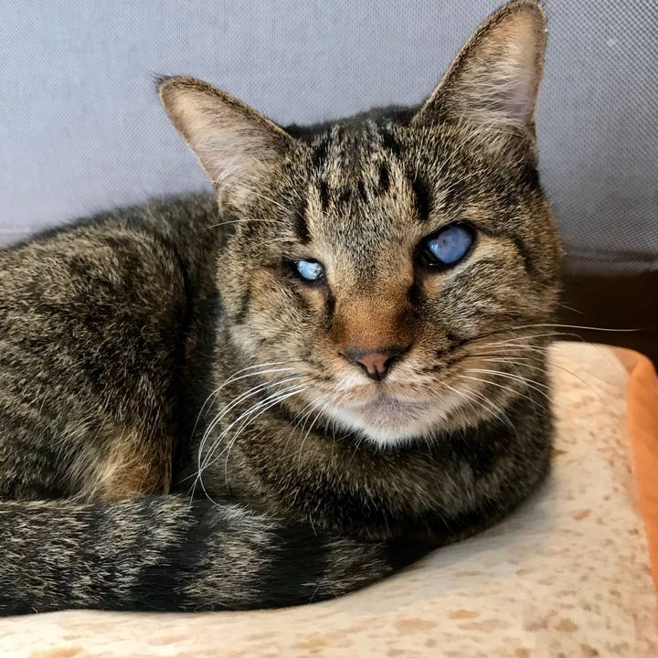 Bf6e2ec4 ff5d 4686 b09b aa2c61439435 1539572416456