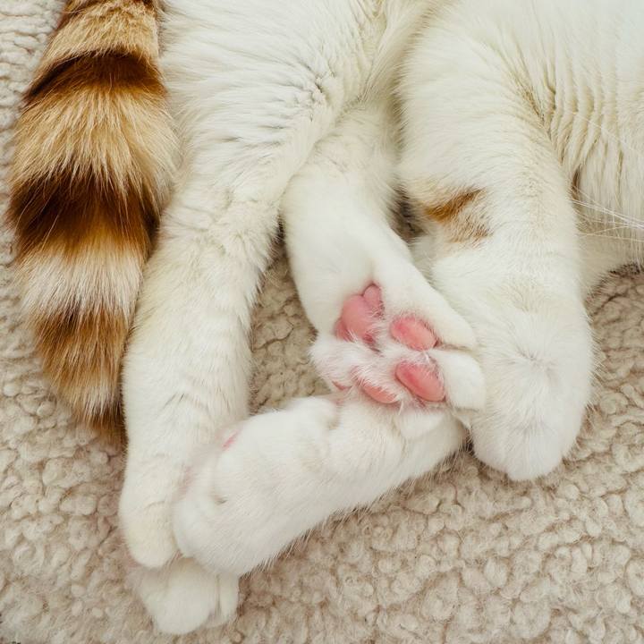 Bf6e880d 9d4c 48a9 8449 7ee810bed5f2 1768360763872