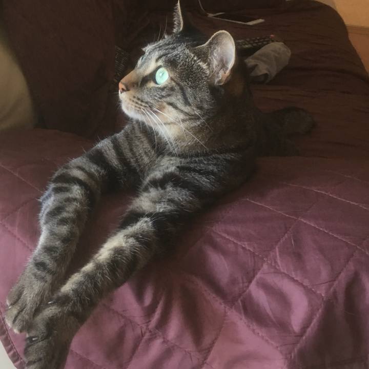 Bf6ea121 5389 448a b675 e0efaf3fc12c 1532244017993