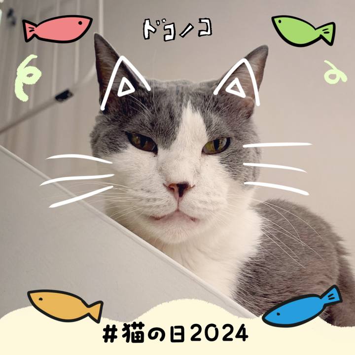 Bf6f2100 b76d 4810 bedf ee3694c313b3 1708604667203