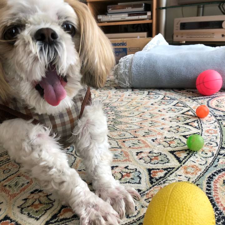 Bf6f26cf 6392 4368 ad9b 1eb4663237f4 1565589610994