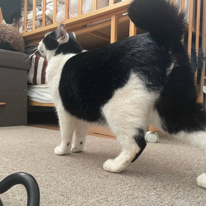 Bf6f7f71 4a65 4e7f bb13 fdf86abfeed7 1707630754332