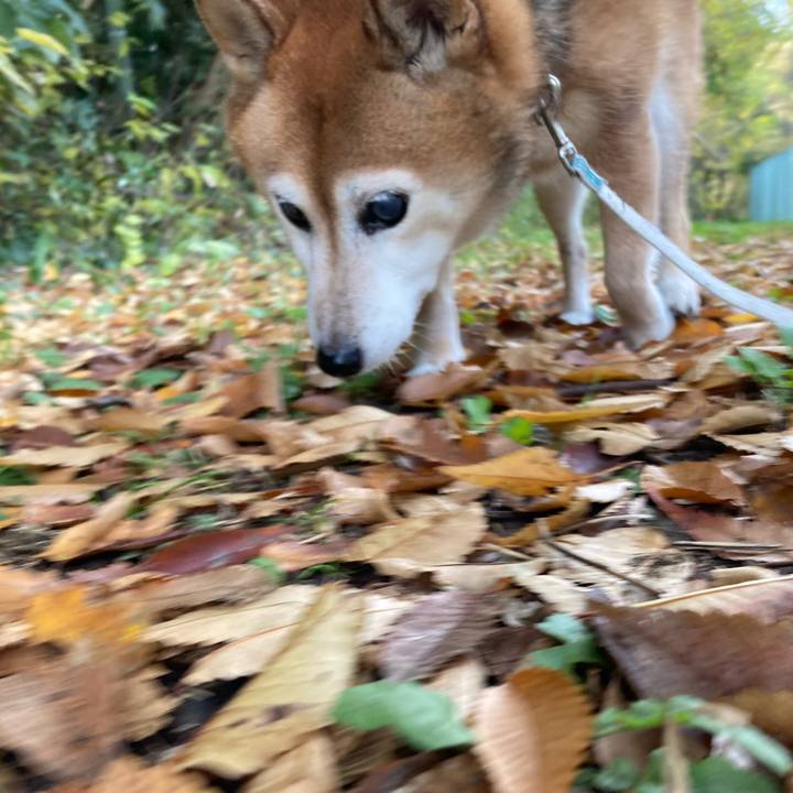 Bf6fbdd2 70ae 4155 8536 b55c62d70e51 1733268400240