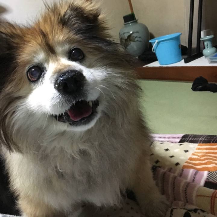 Bf6fd5c4 0833 48aa b361 9d76841468f3 1565649605367