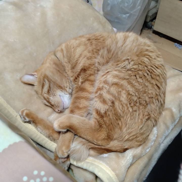 Bf700738 5661 422f 865e eb012b3d89ce 1706139763505