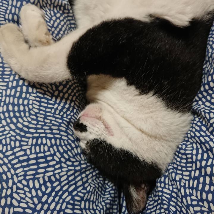 Bf70149d 6369 4212 bdae 9099253b03b2 1661855537619