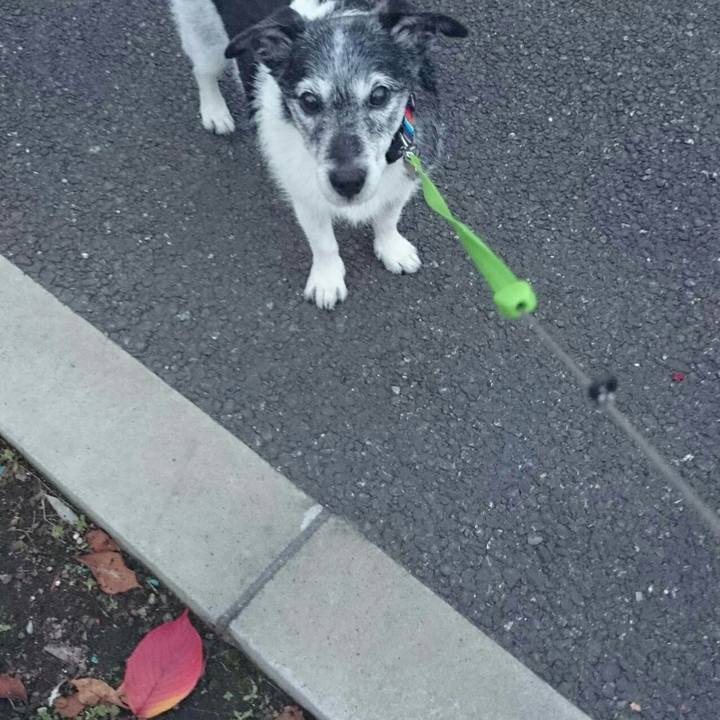 Bf706a5e 5284 4228 8a5e dd528238382d 1510298129628