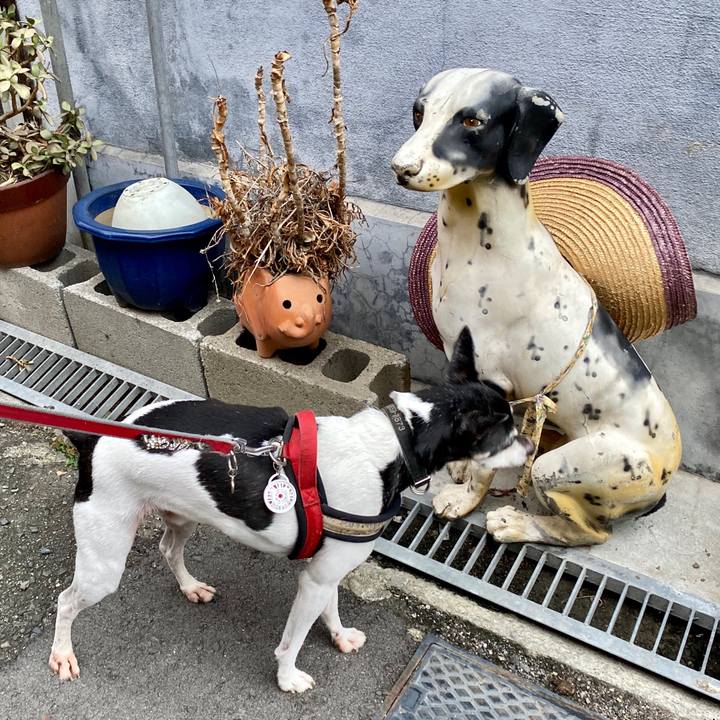 Bf708808 6b81 47b4 9534 e0c820e0d2f5 1600208224084