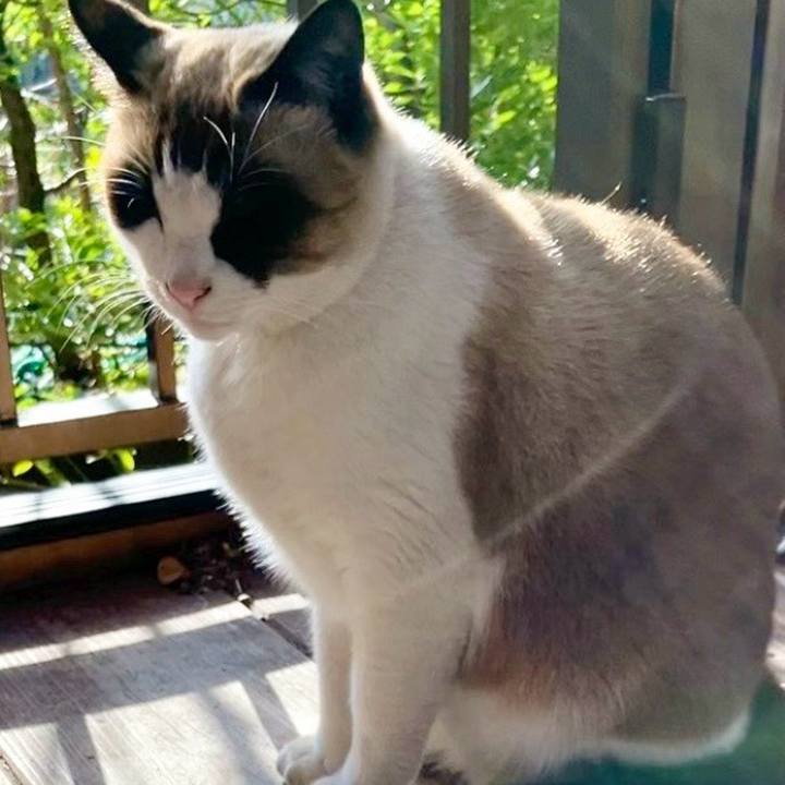 Bf709d62 fd6c 4e9e af68 4a6b90d37f31 1737251730463