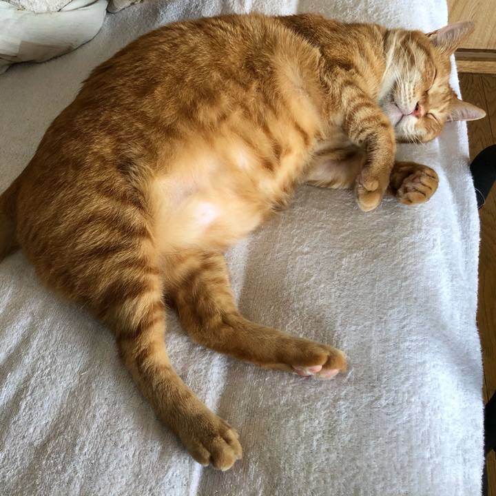 Bf70bf25 ed4b 498f 89a4 811de44bb444 1621063090059