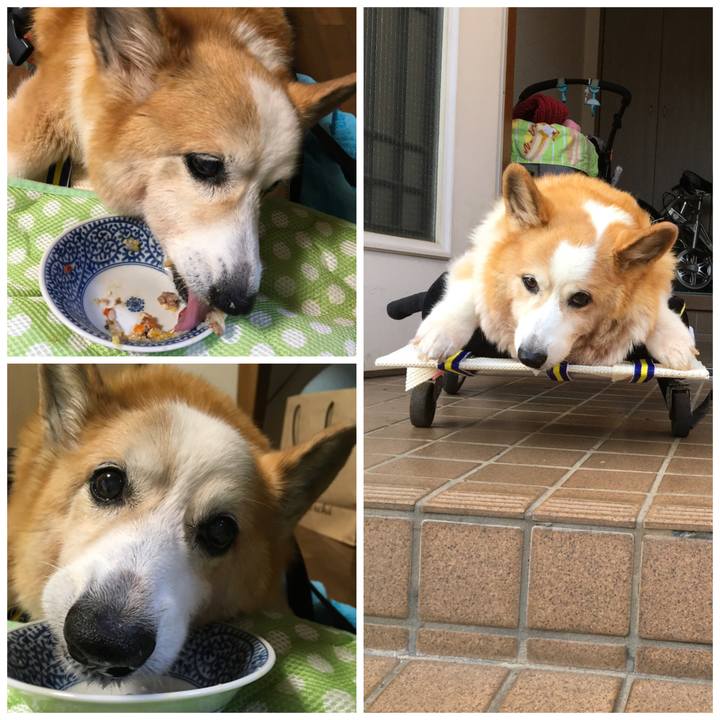 Bf70d5b8 888f 4c60 959f 308fee5a83d5 1573805126271