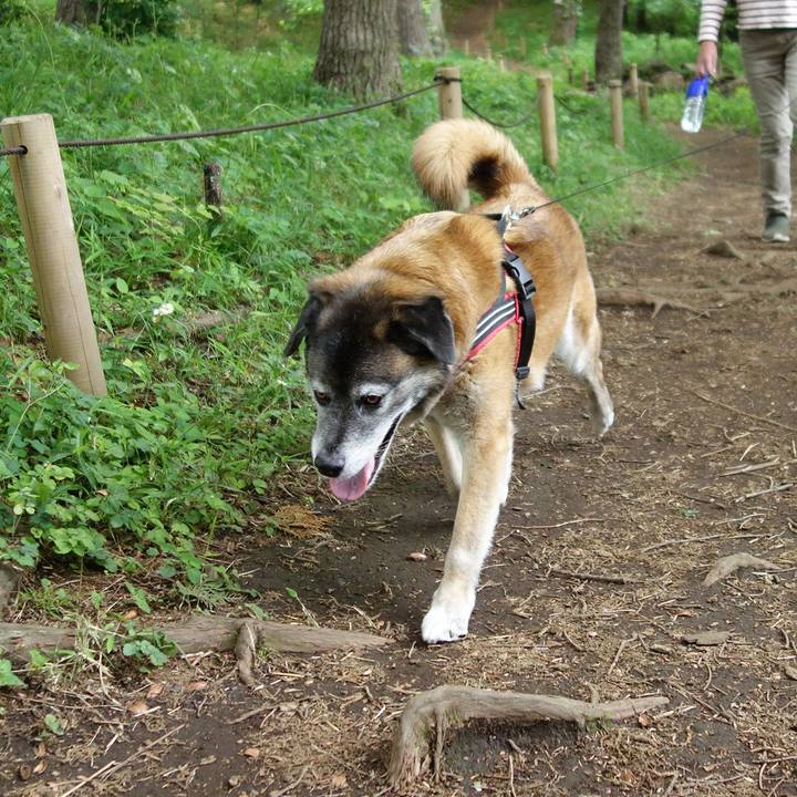 Bf70ea72 cc55 40ab ad40 0a15d8888232 1526176643542