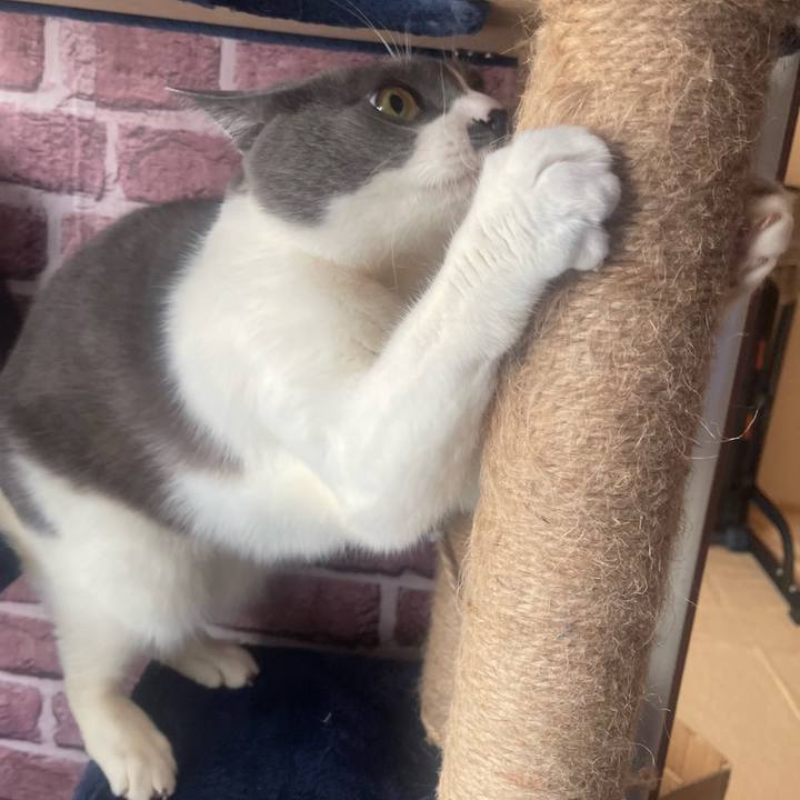 Bf71346d 48bf 4617 833a df5b6b2b9a06 1740349872412