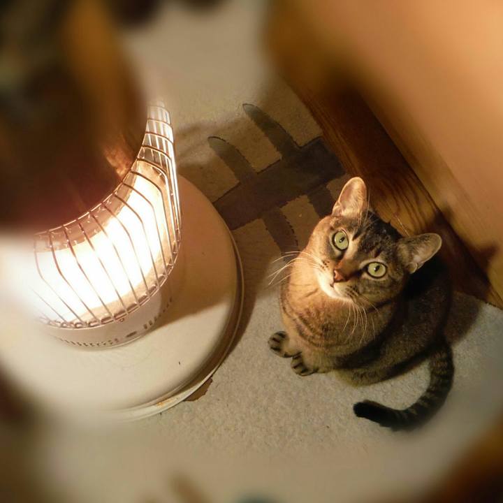 Bf713de5 b6b4 47b7 8205 e4cf950c64c6 1516842005545