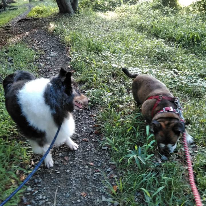 Bf716a00 3314 4df3 a712 966ec23524f4 1567782412150