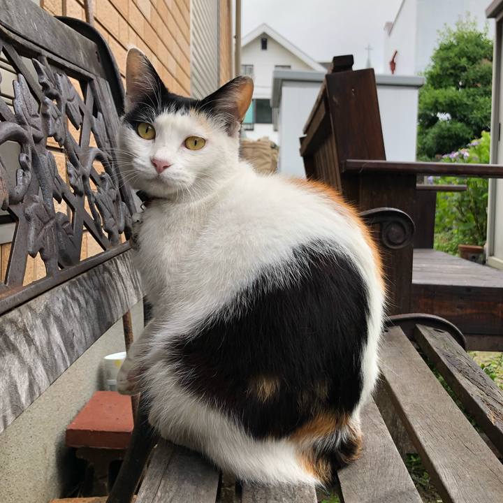 Bf71a76d 2d01 4855 aa3f fe7cf9ab43b3 1624055086943