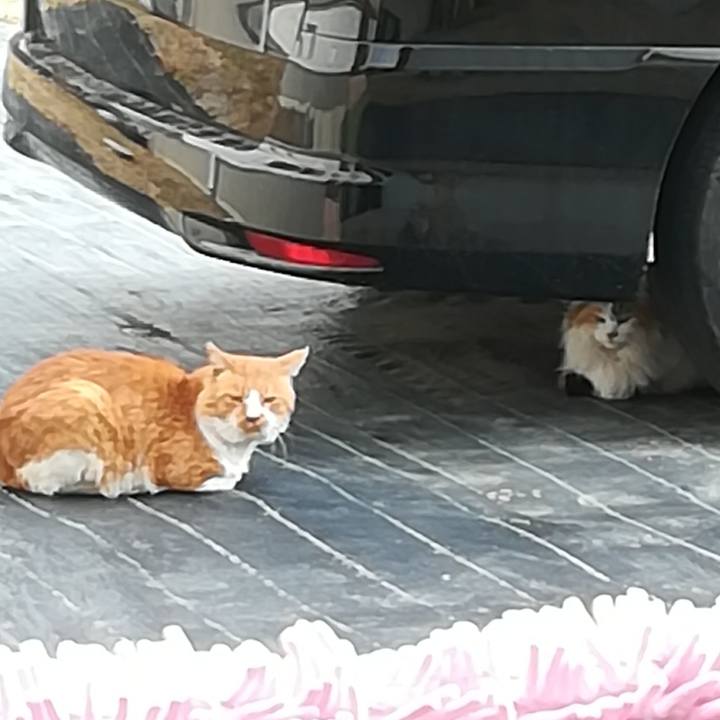 Bf71d6ea c7aa 41e6 adda acecaac1c2c7 1546751709315