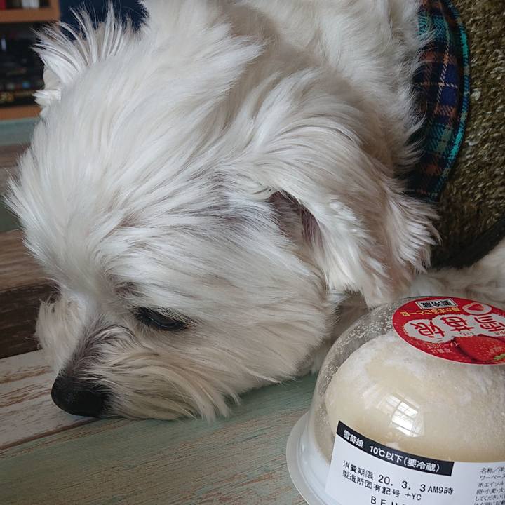 Bf721d73 7ce1 44de adc5 de19e07639ab 1583026766154