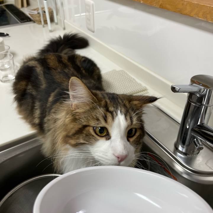 Bf72217c 79c4 48bd 9983 eaad04e7e221 1644264889057