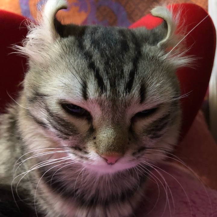 Bf72281d bc34 4643 8085 fb122d0cb4bd 1518083027206