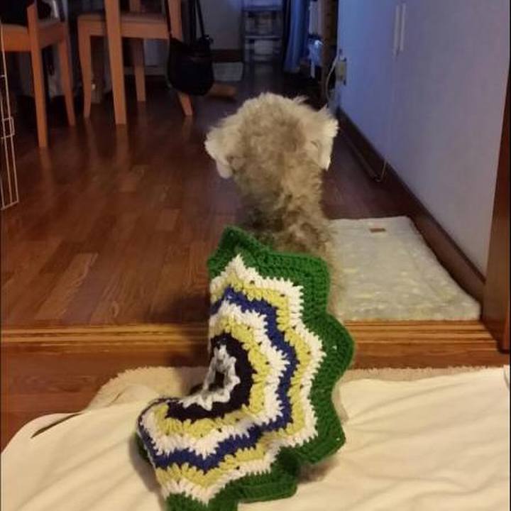 Bf724ab8 cfca 476d 8feb 2f489dd9ef10 1607042765207