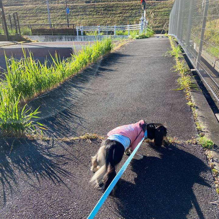 Bf72a525 fd18 428a aa62 9837e72d49b5 1731465722857