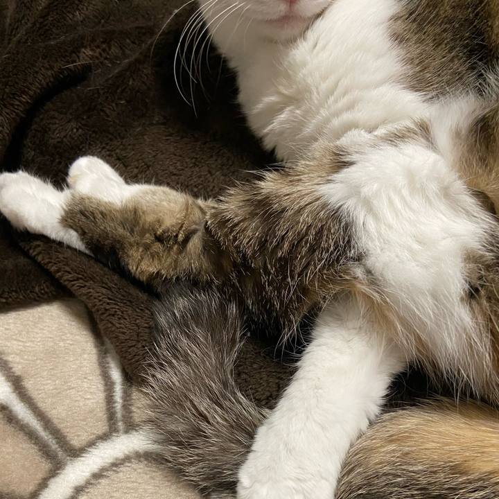 Bf72bd45 2a37 47e6 a3bf 33eafe9b84dc 1587643805761