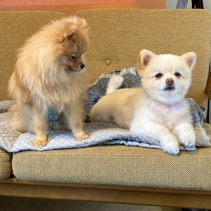 Bf72d2dc a580 4970 86e9 7d23af867836 1648709442933