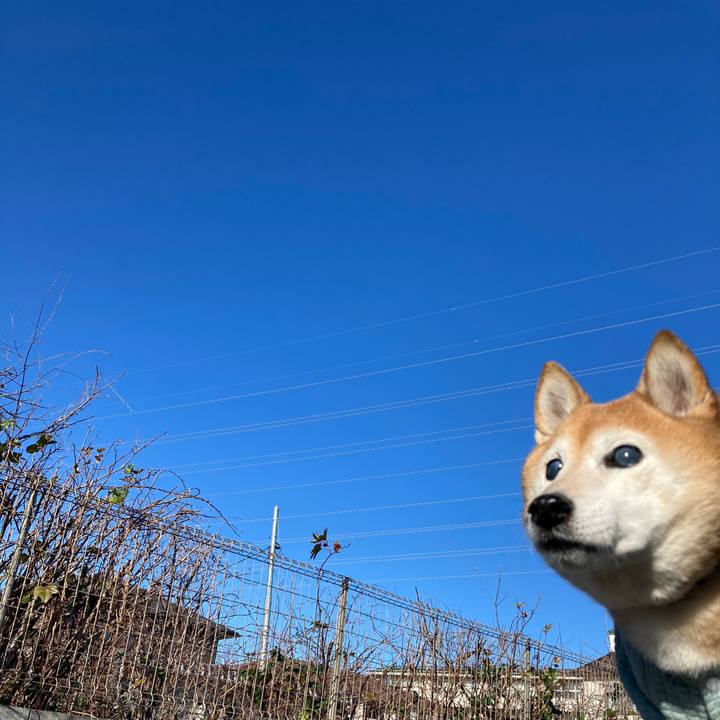 Bf72e5dd 9576 46e6 aae3 01dee4ce8bc6 1739841795199