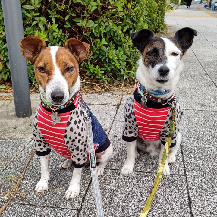 Bf730dce 6ba0 424a bd06 881701473855 1665273064723