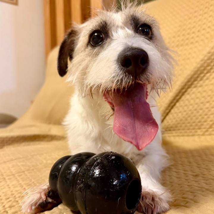 Bf735bdb 1475 4f25 92d6 2976d0ec911b 1767620923568