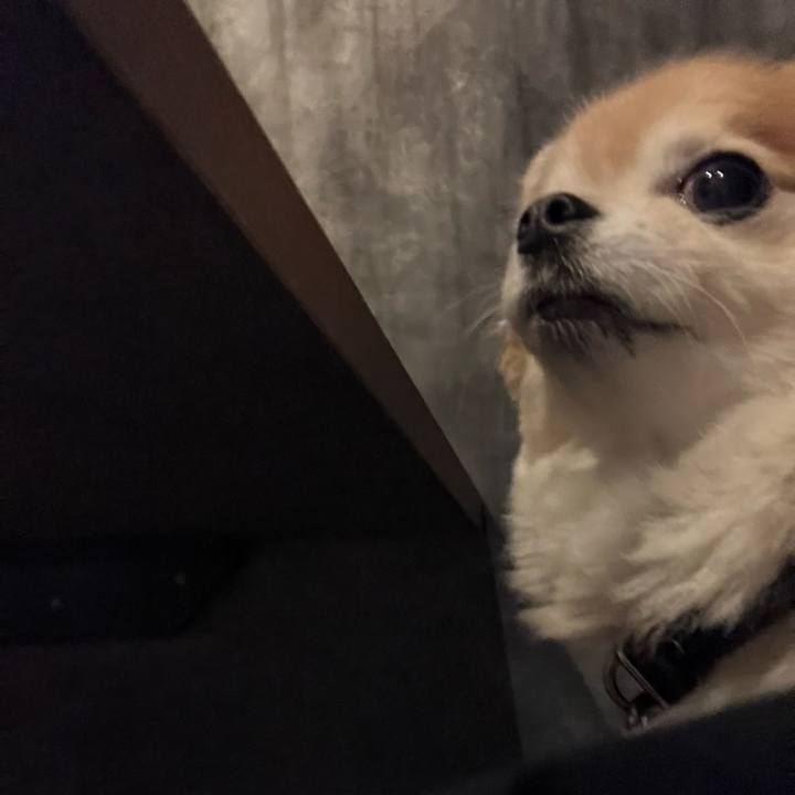 Bf73f7b3 7102 4169 ae60 b8b23e43681b 1766450253590