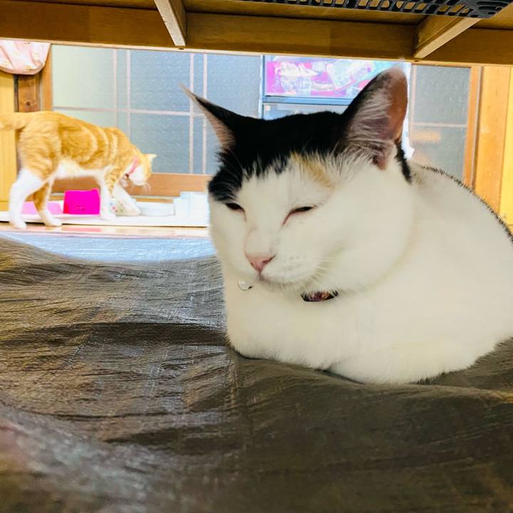 Bf7416a0 57a1 4e0b b57d 7144ac47ef0f 1686930621791