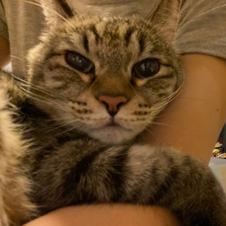 Bf741ea0 4f00 463e 85e9 34380e1e8cbd 1633186631855