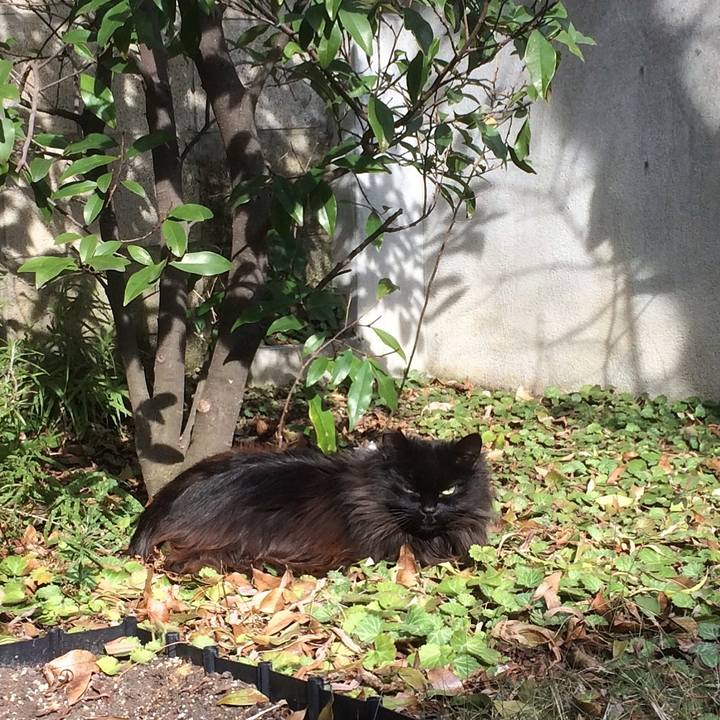 Bf7485c6 1ae3 4b03 b5fc 68244523717e 1518258054501