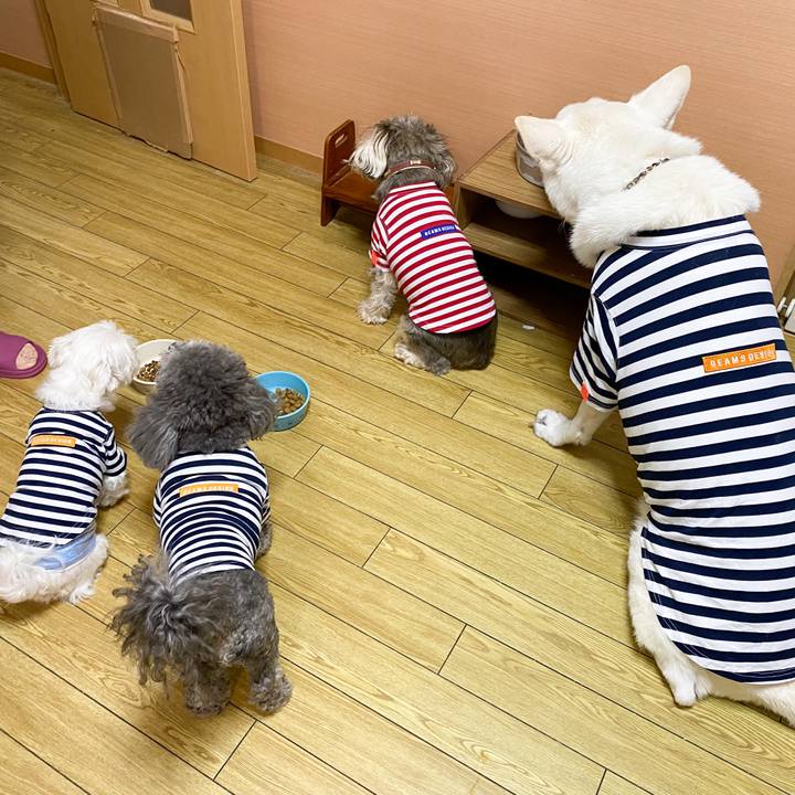 Bf748ecb f5b5 461d ac51 c857ee882bef 1658055948747